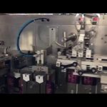 1000ml Stand up Doypack Spout Pouch Form Fill Seal Capping Machine