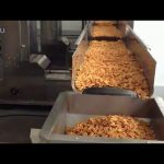 automatic plastic bag rice beans seeds packing machinery