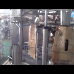 Automatic Stand up Bag Premade Pouch Packing Machine