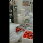 Form Fill Seal Automatic Vertical Packing Machine