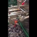 ketchup sachet packaging machine