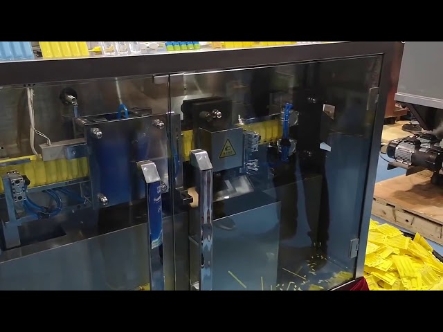 PVC PAPE R Oral Liquid Filling and Sealing Machine Plastic Ampoule Form Fill Seal Packing Machine